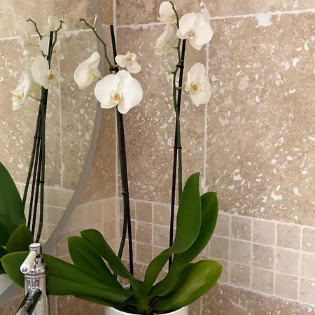 Prestige Love hotel *