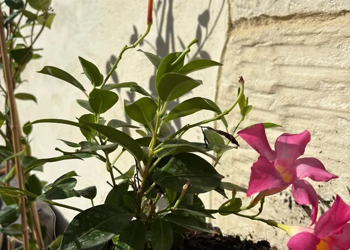 Prestige Love hotel *