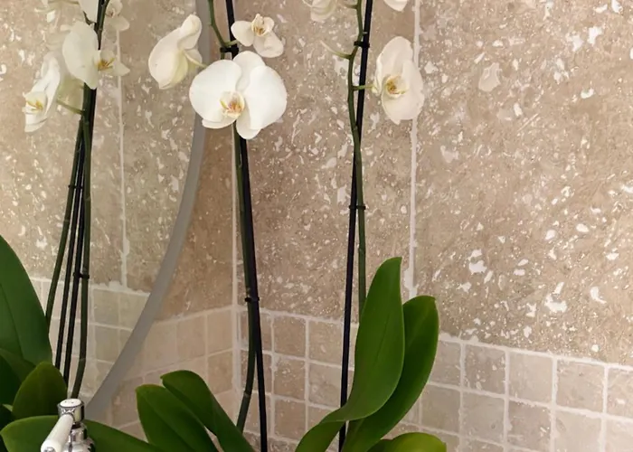 Prestige Love hotel *